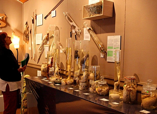 Країна льодів: що можна подивитись в Ісландії - 8