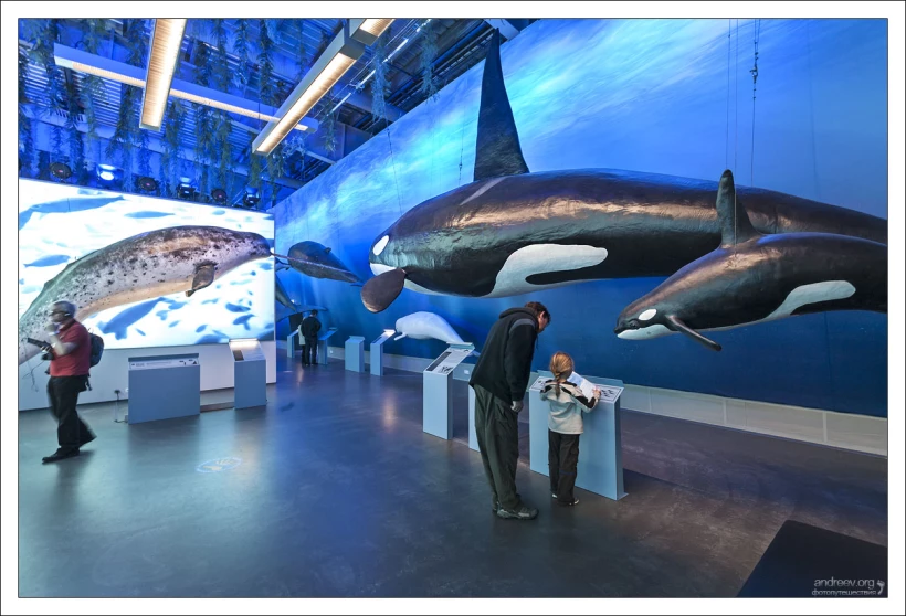 Країна льодів: що можна подивитись в Ісландії - 9